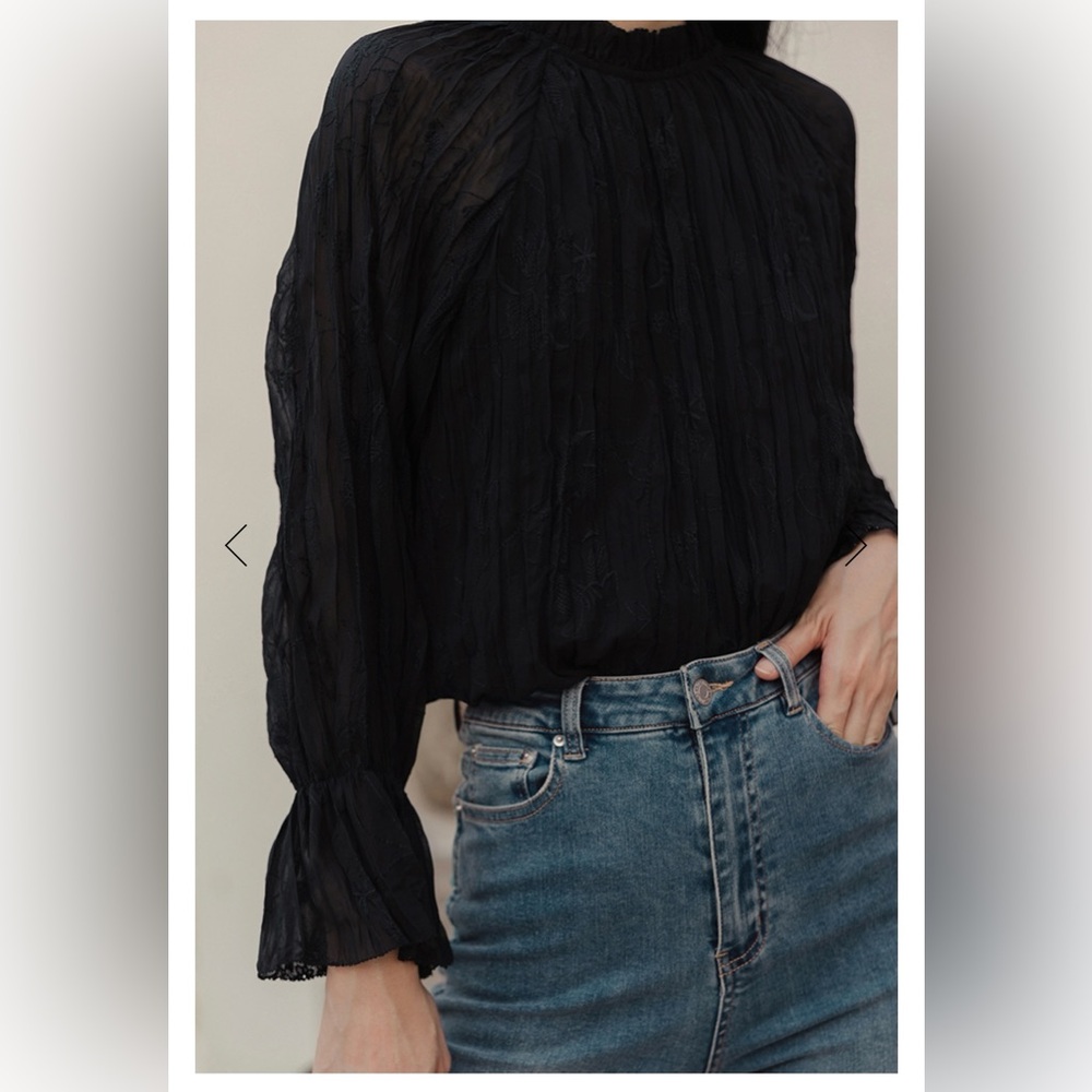 💫 Zara Embroidery Pleated Top - New 💫 - Picture 14 of 14